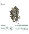 GloboStar® Artificial Garden PEPEROMIA HANGING PLANT 20602 Τεχνητό Διακοσμητικό Κρεμαστό Φυτό Πεπερόμια Υ45cm